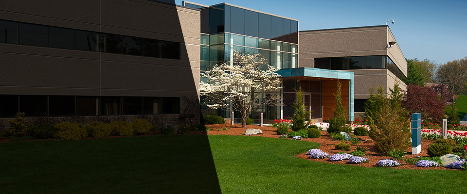 Mount Juliet Landscapers