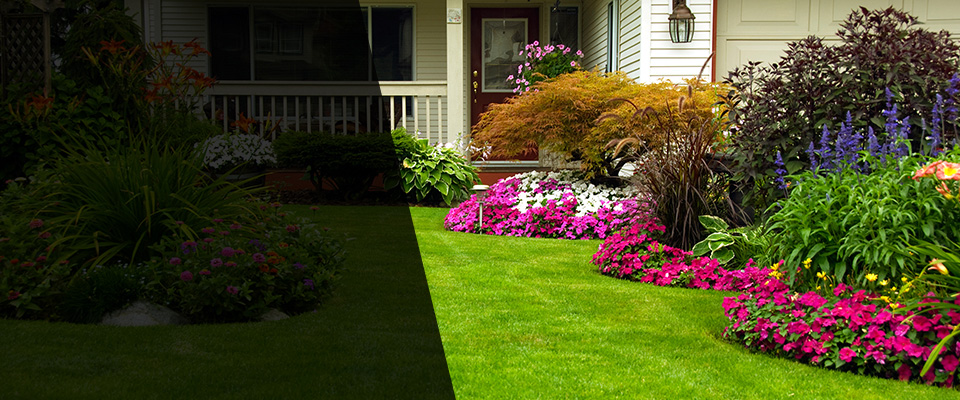 Mount Juliet Landscapers