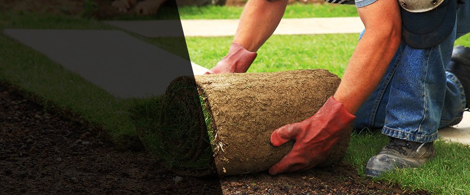 Mount Juliet Landscapers